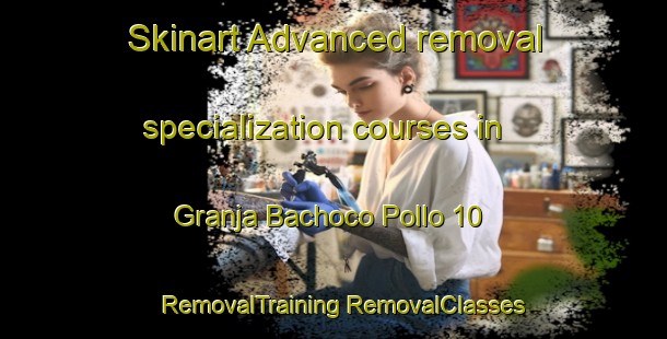 Skinart Advanced removal specialization courses in Granja Bachoco Pollo 10 | #RemovalTraining #RemovalClasses #SkinartTraining-Mexico