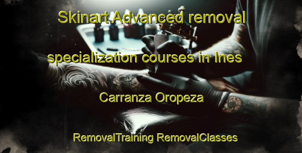 Skinart Advanced removal specialization courses in Ines Carranza Oropeza | #RemovalTraining #RemovalClasses #SkinartTraining-Mexico