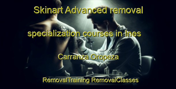 Skinart Advanced removal specialization courses in Ines Carranza Oropeza | #RemovalTraining #RemovalClasses #SkinartTraining-Mexico