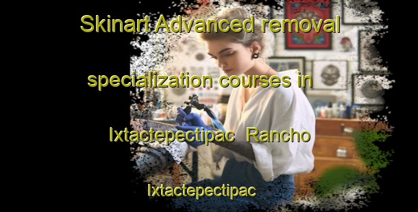 Skinart Advanced removal specialization courses in Ixtactepectipac  Rancho Ixtactepectipac | #RemovalTraining #RemovalClasses #SkinartTraining-Mexico