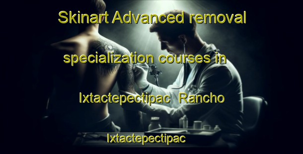 Skinart Advanced removal specialization courses in Ixtactepectipac  Rancho Ixtactepectipac | #RemovalTraining #RemovalClasses #SkinartTraining-Mexico