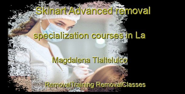 Skinart Advanced removal specialization courses in La Magdalena Tlaltelulco | #RemovalTraining #RemovalClasses #SkinartTraining-Mexico