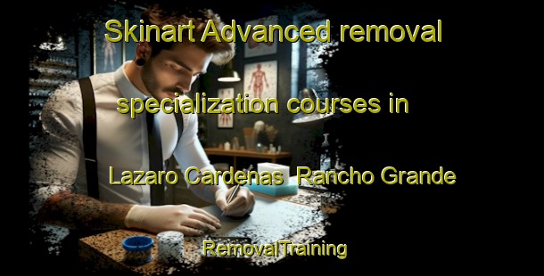 Skinart Advanced removal specialization courses in Lazaro Cardenas  Rancho Grande | #RemovalTraining #RemovalClasses #SkinartTraining-Mexico