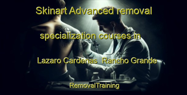 Skinart Advanced removal specialization courses in Lazaro Cardenas  Rancho Grande | #RemovalTraining #RemovalClasses #SkinartTraining-Mexico