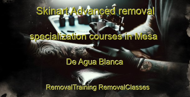 Skinart Advanced removal specialization courses in Mesa De Agua Blanca | #RemovalTraining #RemovalClasses #SkinartTraining-Mexico