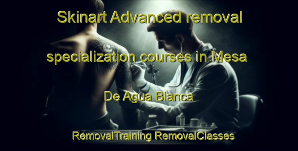 Skinart Advanced removal specialization courses in Mesa De Agua Blanca | #RemovalTraining #RemovalClasses #SkinartTraining-Mexico