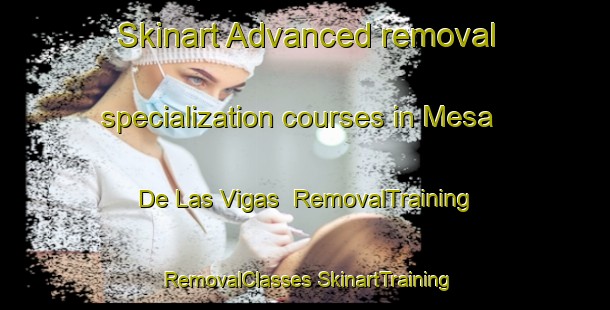 Skinart Advanced removal specialization courses in Mesa De Las Vigas | #RemovalTraining #RemovalClasses #SkinartTraining-Mexico