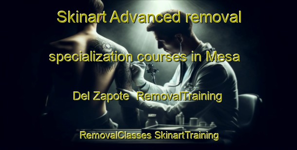 Skinart Advanced removal specialization courses in Mesa Del Zapote | #RemovalTraining #RemovalClasses #SkinartTraining-Mexico