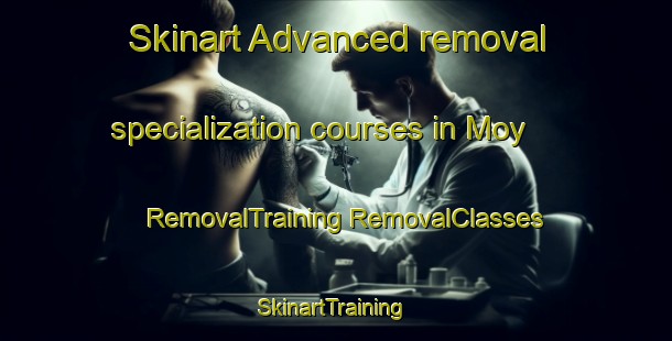 Skinart Advanced removal specialization courses in Moy | #RemovalTraining #RemovalClasses #SkinartTraining-Mexico