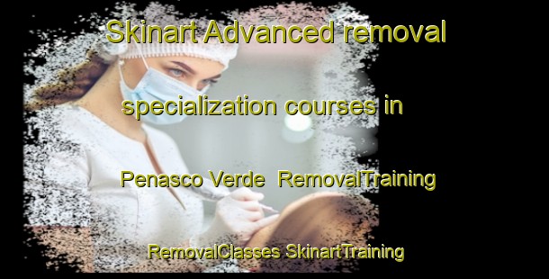 Skinart Advanced removal specialization courses in Penasco Verde | #RemovalTraining #RemovalClasses #SkinartTraining-Mexico