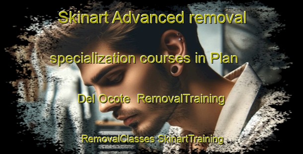 Skinart Advanced removal specialization courses in Plan Del Ocote | #RemovalTraining #RemovalClasses #SkinartTraining-Mexico