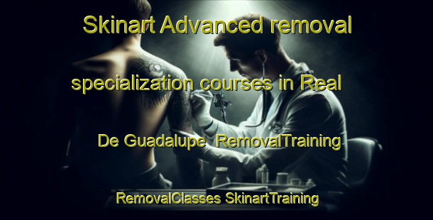 Skinart Advanced removal specialization courses in Real De Guadalupe | #RemovalTraining #RemovalClasses #SkinartTraining-Mexico