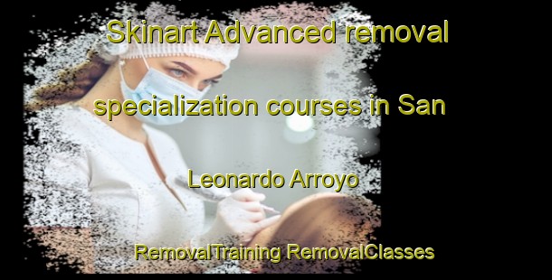 Skinart Advanced removal specialization courses in San Leonardo Arroyo | #RemovalTraining #RemovalClasses #SkinartTraining-Mexico