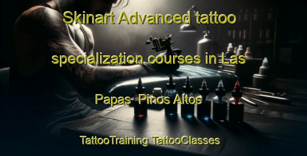 Skinart Advanced tattoo specialization courses in Las Papas  Pinos Altos | #TattooTraining #TattooClasses #SkinartTraining-Mexico