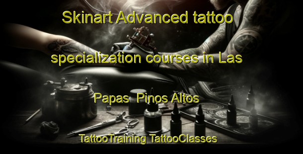 Skinart Advanced tattoo specialization courses in Las Papas  Pinos Altos | #TattooTraining #TattooClasses #SkinartTraining-Mexico