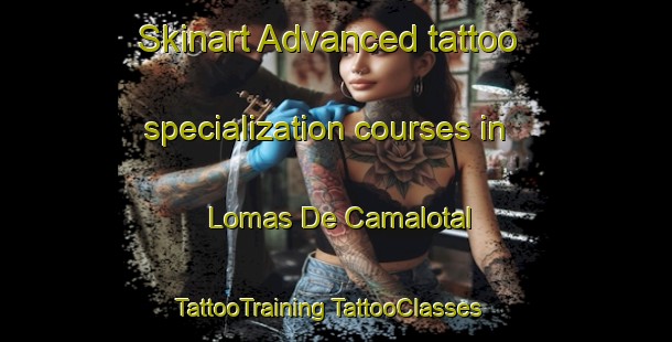 Skinart Advanced tattoo specialization courses in Lomas De Camalotal | #TattooTraining #TattooClasses #SkinartTraining-Mexico