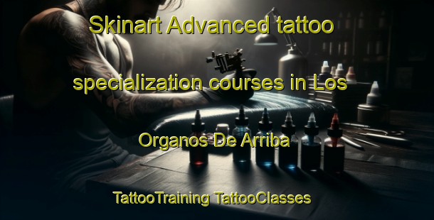 Skinart Advanced tattoo specialization courses in Los Organos De Arriba | #TattooTraining #TattooClasses #SkinartTraining-Mexico