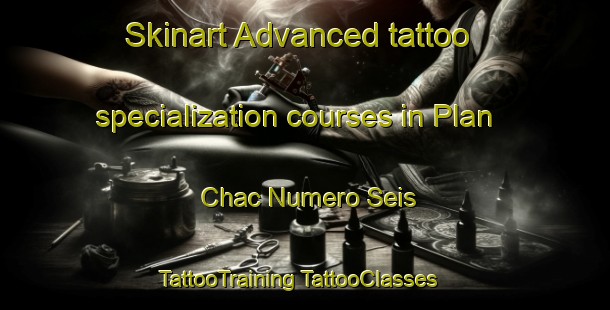 Skinart Advanced tattoo specialization courses in Plan Chac Numero Seis | #TattooTraining #TattooClasses #SkinartTraining-Mexico