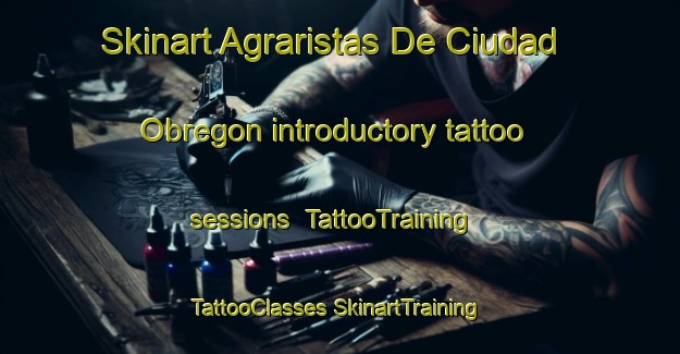 Skinart Agraristas De Ciudad Obregon introductory tattoo sessions | #TattooTraining #TattooClasses #SkinartTraining-Mexico