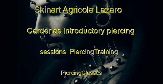 Skinart Agricola Lazaro Cardenas introductory piercing sessions | #PiercingTraining #PiercingClasses #SkinartTraining-Mexico