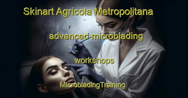 Skinart Agricola Metropolitana advanced microblading workshops | #MicrobladingTraining #MicrobladingClasses #SkinartTraining-Mexico