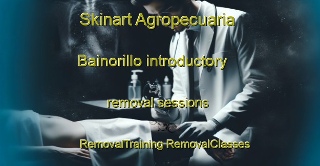 Skinart Agropecuaria Bainorillo introductory removal sessions | #RemovalTraining #RemovalClasses #SkinartTraining-Mexico