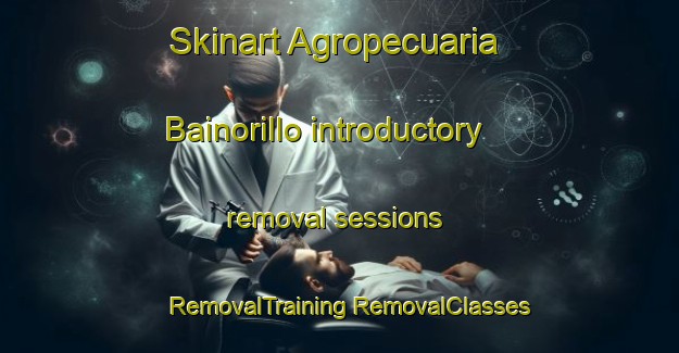 Skinart Agropecuaria Bainorillo introductory removal sessions | #RemovalTraining #RemovalClasses #SkinartTraining-Mexico