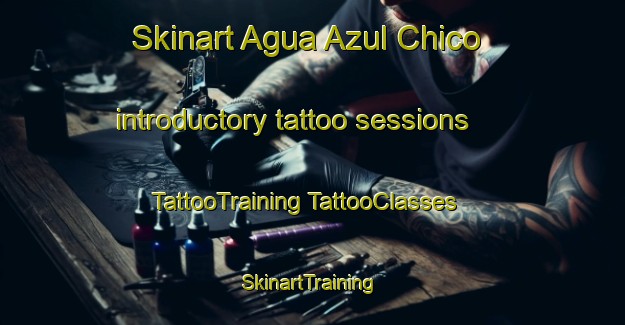 Skinart Agua Azul Chico introductory tattoo sessions | #TattooTraining #TattooClasses #SkinartTraining-Mexico