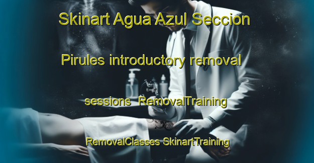 Skinart Agua Azul Seccion Pirules introductory removal sessions | #RemovalTraining #RemovalClasses #SkinartTraining-Mexico