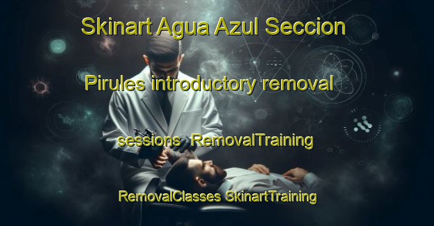 Skinart Agua Azul Seccion Pirules introductory removal sessions | #RemovalTraining #RemovalClasses #SkinartTraining-Mexico