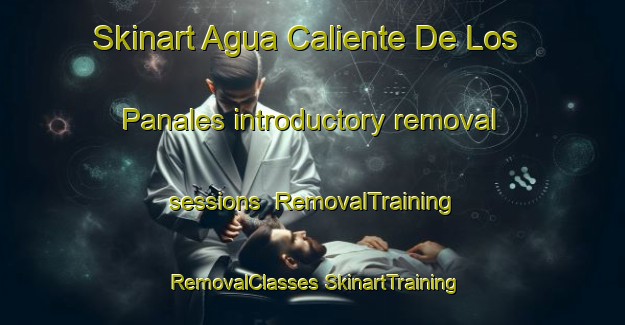 Skinart Agua Caliente De Los Panales introductory removal sessions | #RemovalTraining #RemovalClasses #SkinartTraining-Mexico