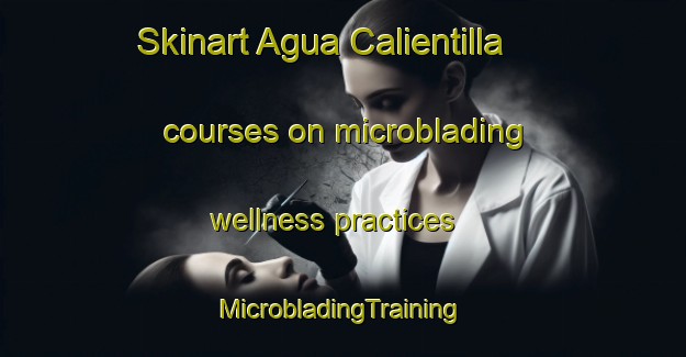 Skinart Agua Calientilla courses on microblading wellness practices | #MicrobladingTraining #MicrobladingClasses #SkinartTraining-Mexico