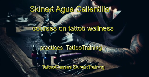 Skinart Agua Calientilla courses on tattoo wellness practices | #TattooTraining #TattooClasses #SkinartTraining-Mexico