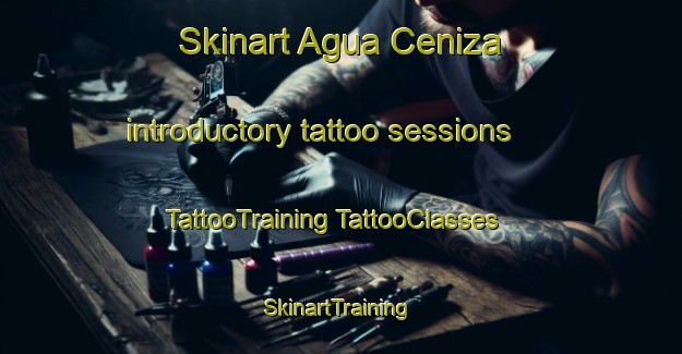 Skinart Agua Ceniza introductory tattoo sessions | #TattooTraining #TattooClasses #SkinartTraining-Mexico