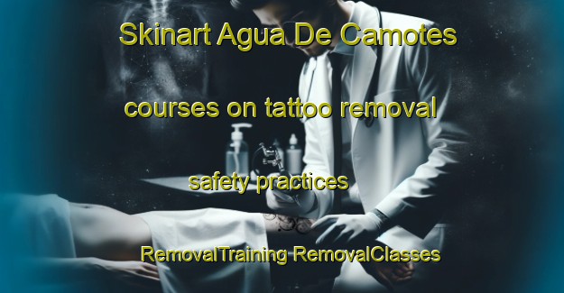 Skinart Agua De Camotes courses on tattoo removal safety practices | #RemovalTraining #RemovalClasses #SkinartTraining-Mexico