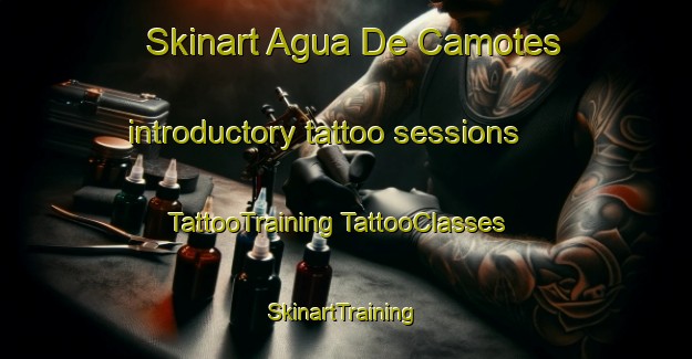 Skinart Agua De Camotes introductory tattoo sessions | #TattooTraining #TattooClasses #SkinartTraining-Mexico