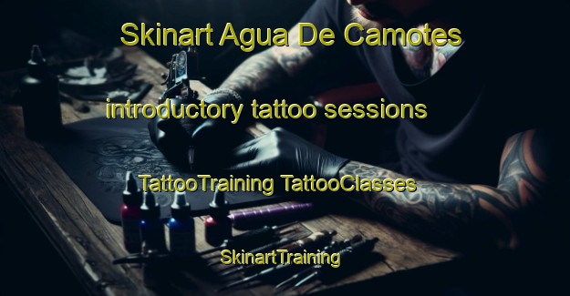 Skinart Agua De Camotes introductory tattoo sessions | #TattooTraining #TattooClasses #SkinartTraining-Mexico