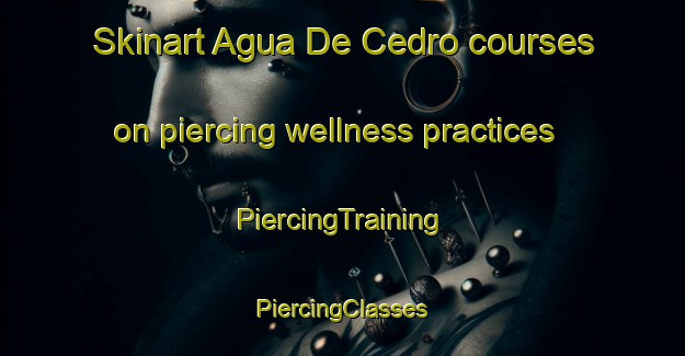 Skinart Agua De Cedro courses on piercing wellness practices | #PiercingTraining #PiercingClasses #SkinartTraining-Mexico