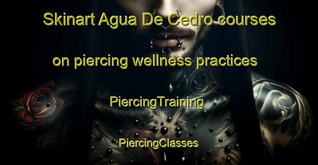 Skinart Agua De Cedro courses on piercing wellness practices | #PiercingTraining #PiercingClasses #SkinartTraining-Mexico