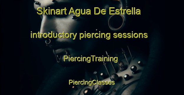 Skinart Agua De Estrella introductory piercing sessions | #PiercingTraining #PiercingClasses #SkinartTraining-Mexico