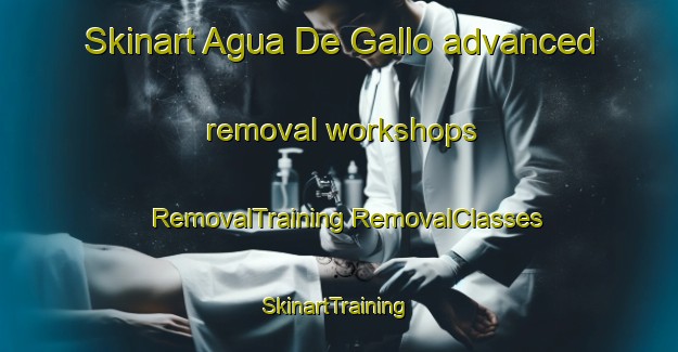 Skinart Agua De Gallo advanced removal workshops | #RemovalTraining #RemovalClasses #SkinartTraining-Mexico