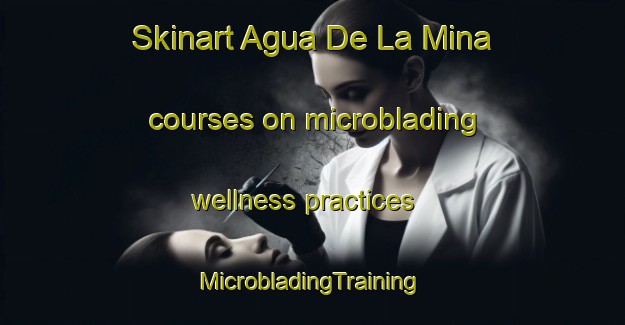 Skinart Agua De La Mina courses on microblading wellness practices | #MicrobladingTraining #MicrobladingClasses #SkinartTraining-Mexico