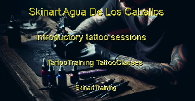 Skinart Agua De Los Caballos introductory tattoo sessions | #TattooTraining #TattooClasses #SkinartTraining-Mexico