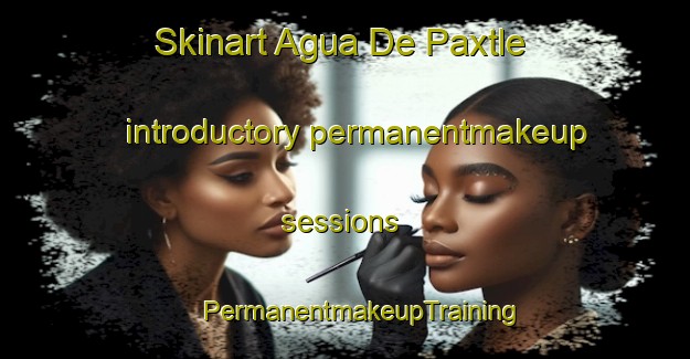 Skinart Agua De Paxtle introductory permanentmakeup sessions | #PermanentmakeupTraining #PermanentmakeupClasses #SkinartTraining-Mexico