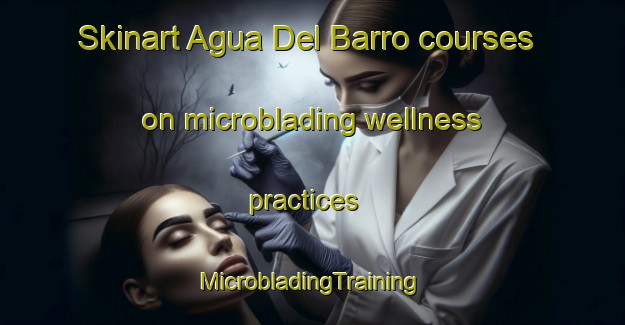 Skinart Agua Del Barro courses on microblading wellness practices | #MicrobladingTraining #MicrobladingClasses #SkinartTraining-Mexico