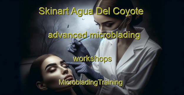 Skinart Agua Del Coyote advanced microblading workshops | #MicrobladingTraining #MicrobladingClasses #SkinartTraining-Mexico