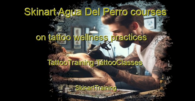 Skinart Agua Del Perro courses on tattoo wellness practices | #TattooTraining #TattooClasses #SkinartTraining-Mexico