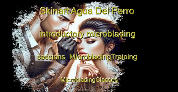 Skinart Agua Del Perro introductory microblading sessions | #MicrobladingTraining #MicrobladingClasses #SkinartTraining-Mexico