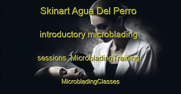 Skinart Agua Del Perro introductory microblading sessions | #MicrobladingTraining #MicrobladingClasses #SkinartTraining-Mexico