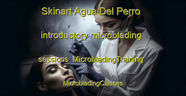 Skinart Agua Del Perro introductory microblading sessions | #MicrobladingTraining #MicrobladingClasses #SkinartTraining-Mexico